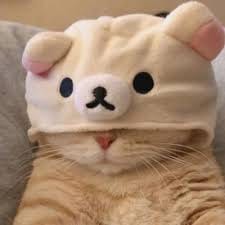 มิน พีชญา avatar